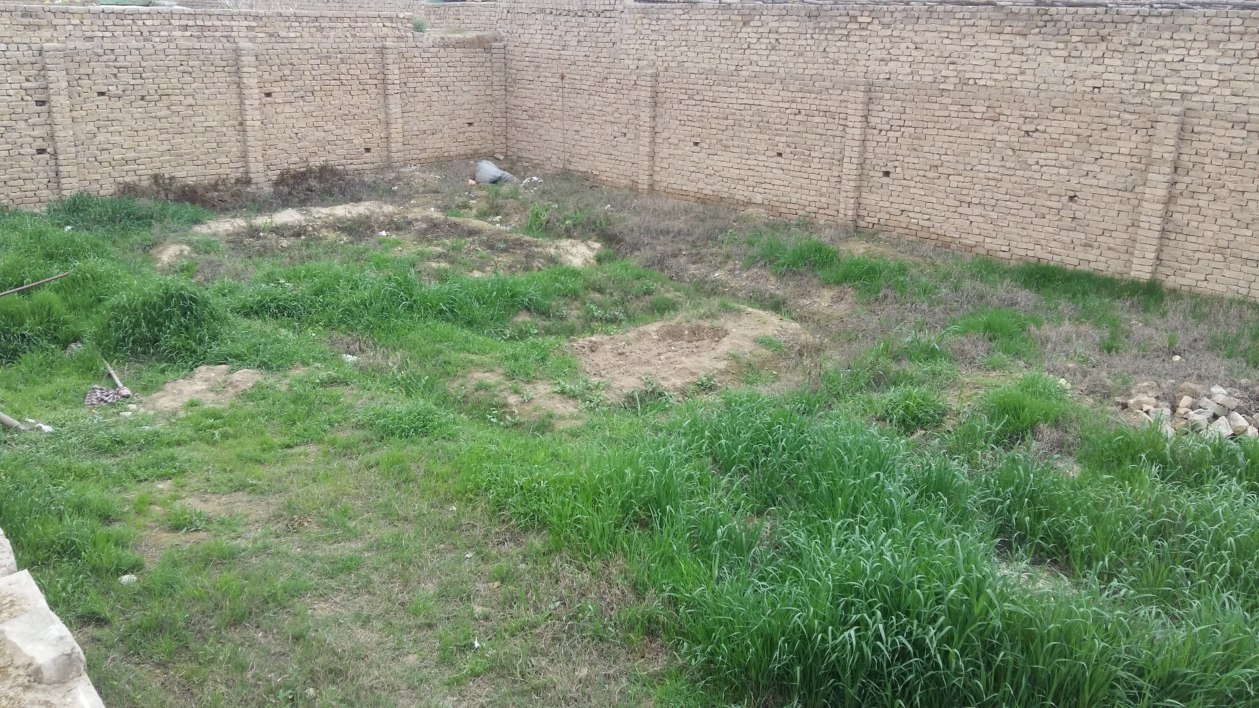 تصویر نمایش داده نشد